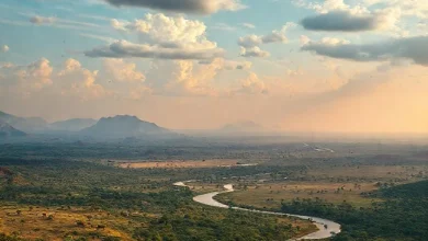 Afrika Kıtası haritası, ülkeler, yüzey şekilleri ve doğal kaynaklar.