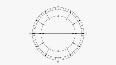 Birim Çember Nedir? Trigonometrik Fonksiyonlarla İlişkisi
