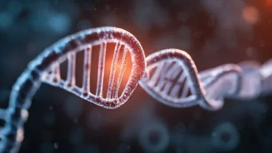 DNA ve RNA arasındaki temel farkları ve genetik kodu açıklayan görsel.