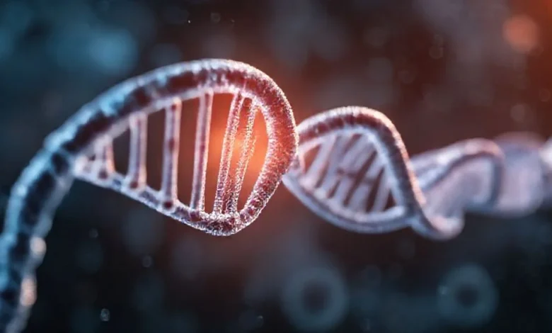 DNA ve RNA arasındaki temel farkları ve genetik kodu açıklayan görsel.