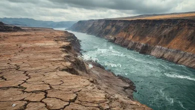 Doğal afetler üzerine kapsamlı konu anlatımı: Depremler, seller ve heyelanların oluşumu ile etkileri.