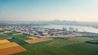 Ekonomik Coğrafya: Tarım, Sanayi ve Ticaretin Coğrafi Etkileri