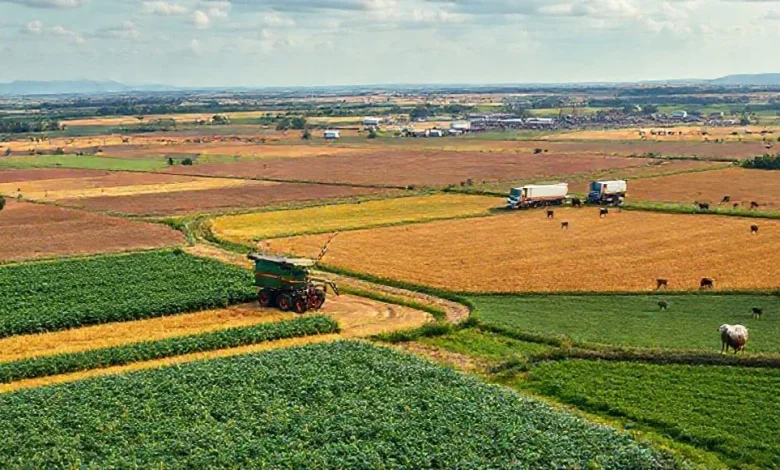 Ekonomik coğrafyada tarım ve hayvancılık üretimi ve dağılım analizi.