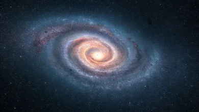 Samanyolu Galaksisi ve evrendeki diğer gökadalar hakkında bilgi içeren bilimsel görsel.