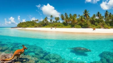 Okyanusya Kıtası'nın adaları, doğal bitki örtüsü ve özgün hayvan türlerini gösteren görsel.