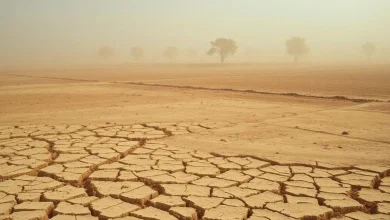 Rüzgar Erozyonu Nedir? Etkileri ve Korunma Yolları