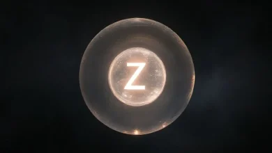 Sayı kümeleri: Doğal sayılar, tam sayılar ve rasyonel sayılar kavramlarını açıklayan bilgilendirici görsel.