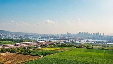 Türkiye ekonomisinin Cumhuriyet dönemi boyunca kaydettiği gelişimi ve değişimleri detaylandıran görsel.