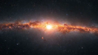 Yıldızların yaşam döngüsü aşamaları: doğumdan ölüme kadar evrim. Yıldız nasıl doğar, yaşar, ölür?